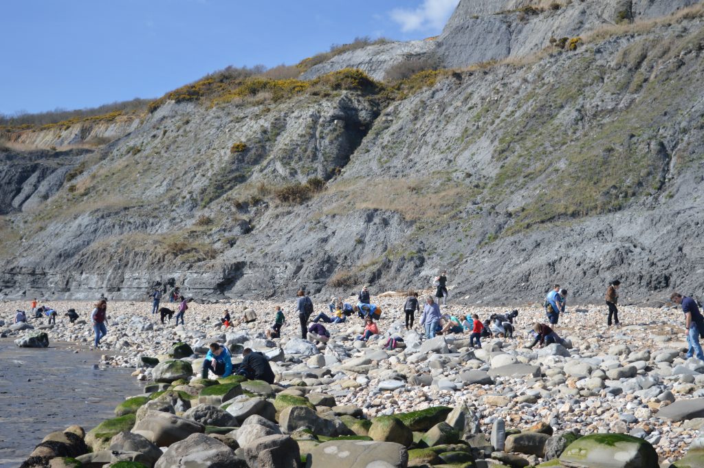 Searching for fossils